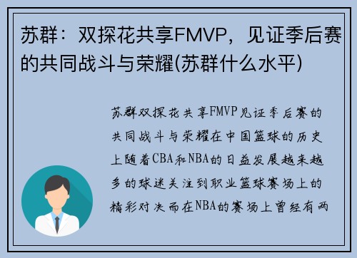 苏群：双探花共享FMVP，见证季后赛的共同战斗与荣耀(苏群什么水平)