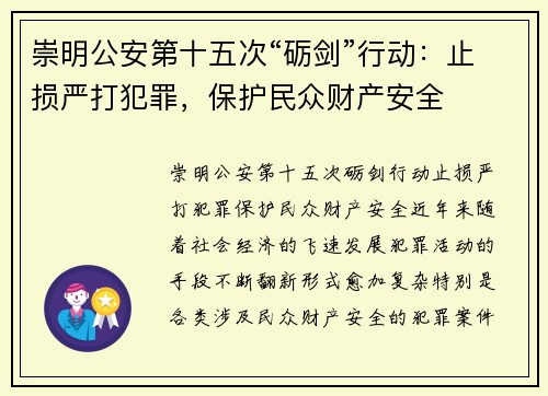 崇明公安第十五次“砺剑”行动：止损严打犯罪，保护民众财产安全