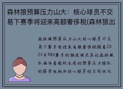 森林狼预算压力山大：核心球员不交易下赛季将迎来高额奢侈税(森林狼出售球队)